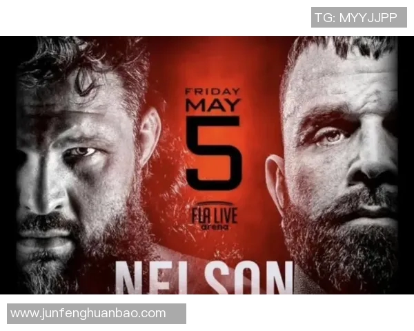 UFC尼尔森与温盾的精彩对决揭示了格斗技巧与战术的巅峰对抗