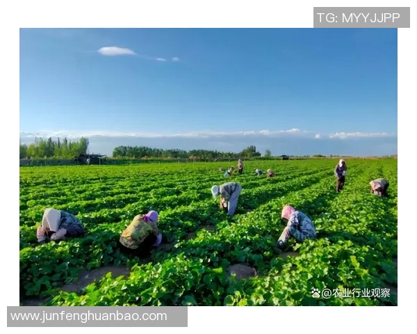 田修：探索传统农业与现代科技融合的新路径与实践